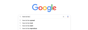 A google search starting with how do lice, search bar quesses spread, look, start, reproduce