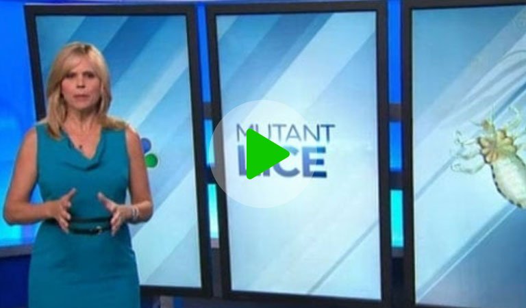News broadcaster standing in front of a screen that says "mutant lice"